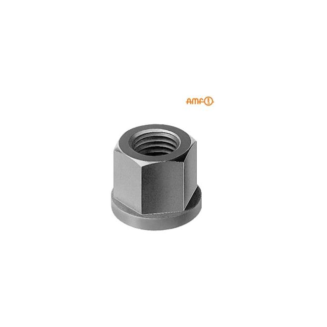Matica M14 x 21 s nákružkom 6 hran DIN 6331 AMF